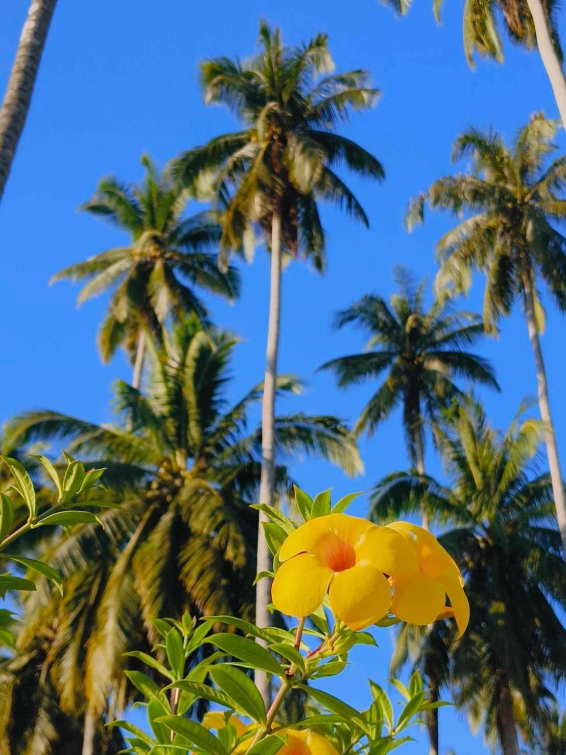 Koh Kood Far East Resort Ko Kut Ngoại thất bức ảnh